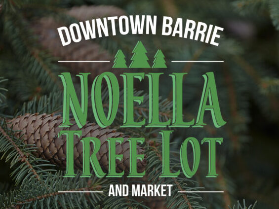 Noella tree lot and market