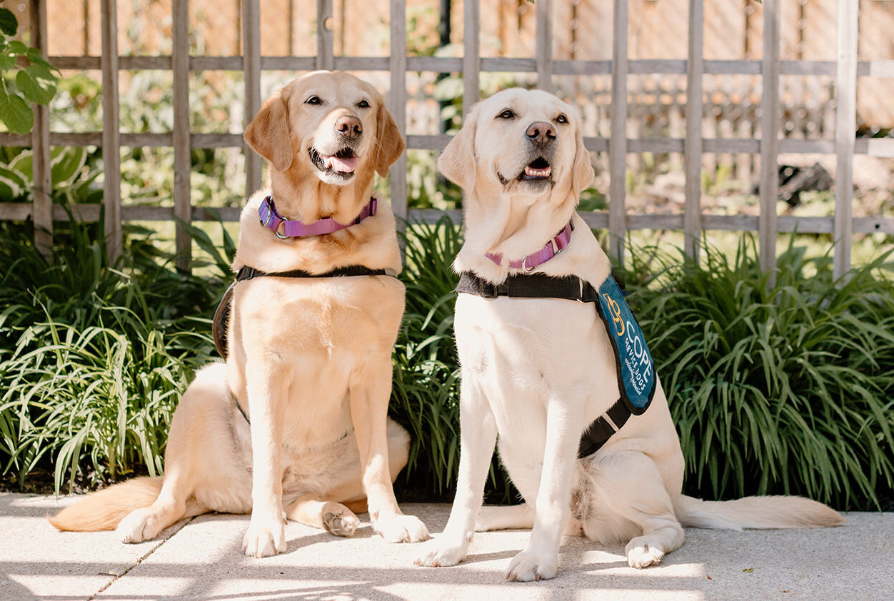 Hospice simcoe dogs